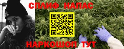 стаф Нальчик