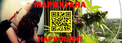 стаф Нальчик