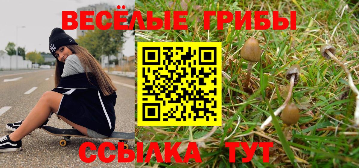 Каннабис  Cocaine  Вход с VPN  COCAIN  ГАШ  МЕТАДОН  Хасавюрт  Меф МЯУ МЯУ  