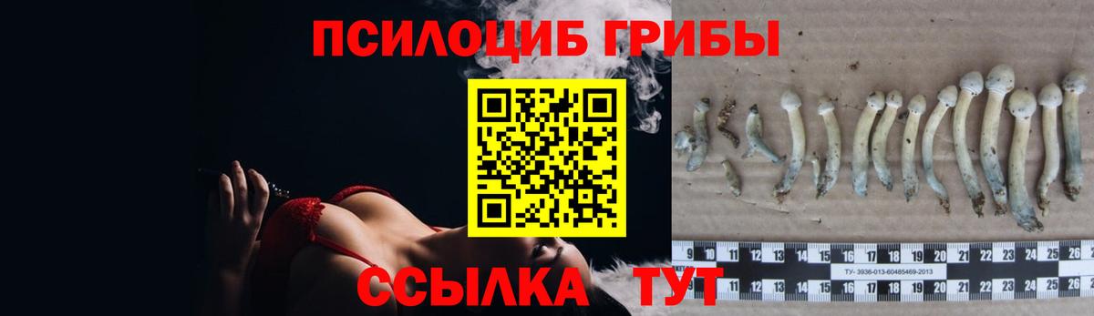Галлюциногенные грибы прущие грибы Хасавюрт